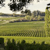 castillon bordeaux
