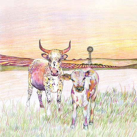 Overhex Wines Survivor