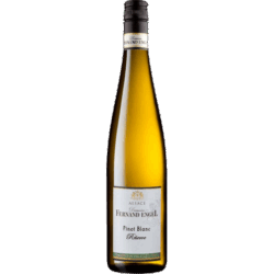 Fernand Engel - Pinot Blanc Réserve BIO 2024