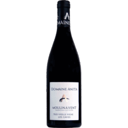 Wine bottle with a white label reading Domaine Anita on a dark glass bottle against a white background.