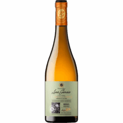 Bottle of white Rioja wine with orange foil neck and pale green label, amber liquid inside.