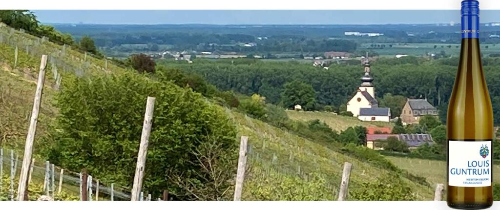 Hilly vineyard with rows of grapevines and posts, distant village with a church, and a Louis Guntrum wine bottle on the right.